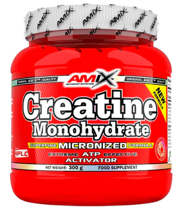 CREATINA AMIX 300GR